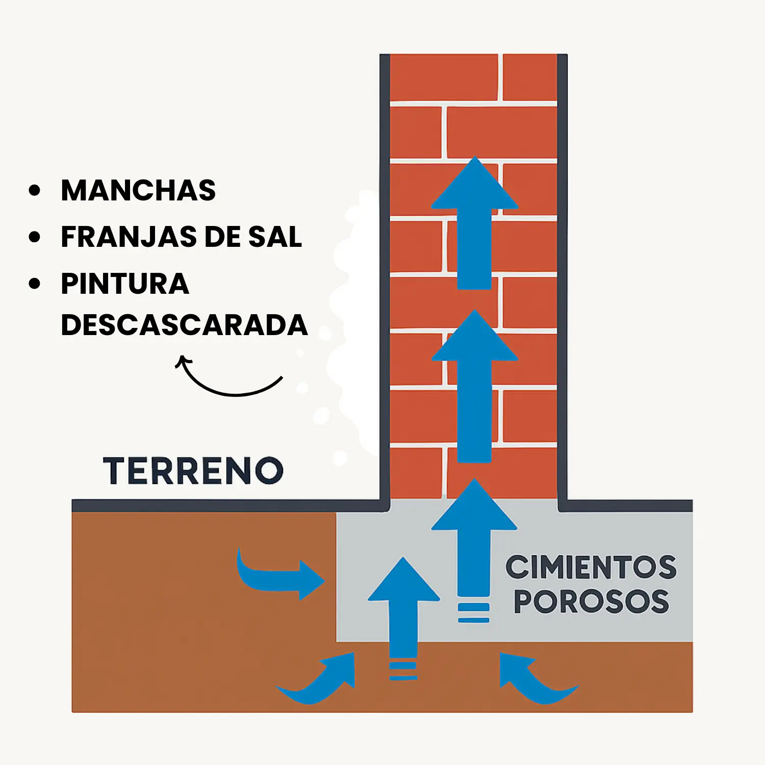 Representación gráfica de cómo asciende la humedad en paredes al haber cimientos porosos